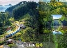 麻豆麻豆传媒-麻豆文化，网络视频领域的多元探索与影响