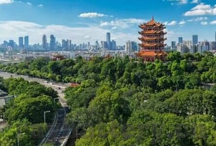 糖心app ios版本-遇见甜蜜的科技，糖心app为iOS用户的贴心之选