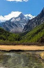 糖心app下载汅api兑换码-掌握未来娱乐，解锁糖心APP的惊喜之旅
